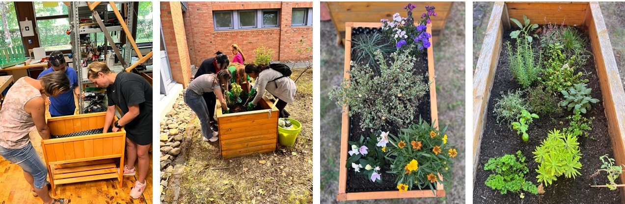 Bilder Sommerprojekt FRIDA+AaeH2