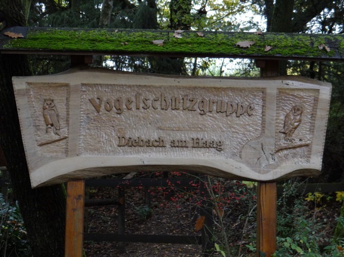 Schild