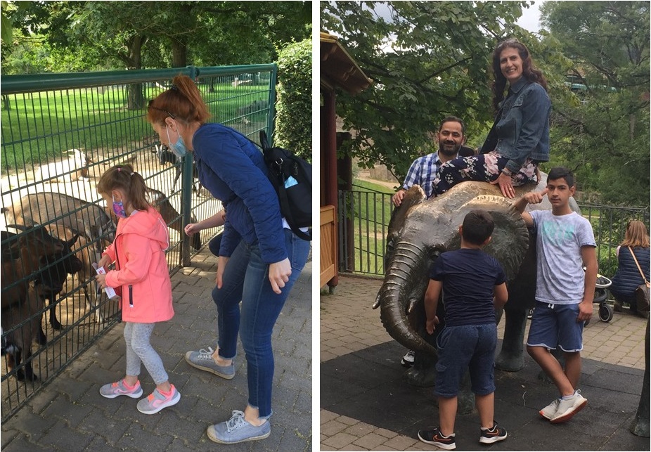 Zoo 3