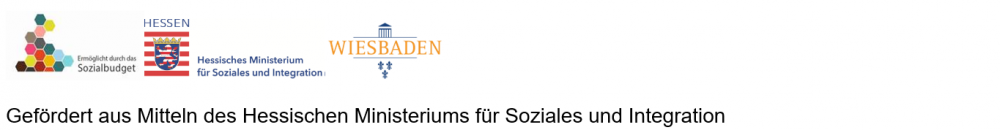 DiZ Logoleiste