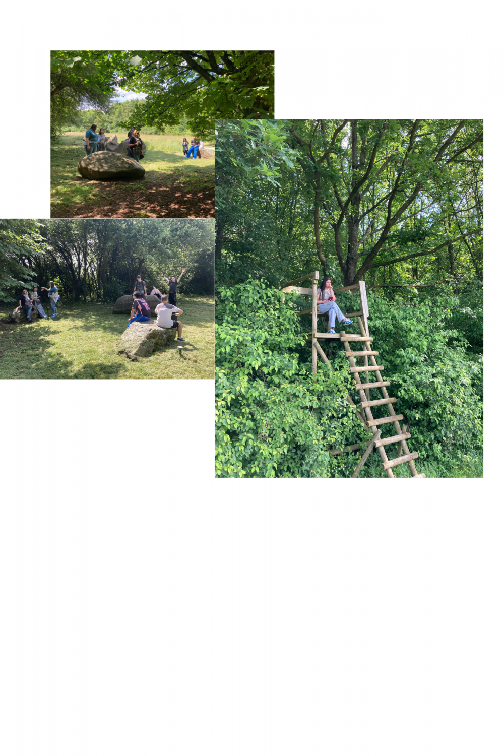 Collage WAelder 240627