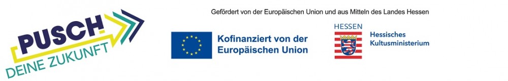 pusch logo