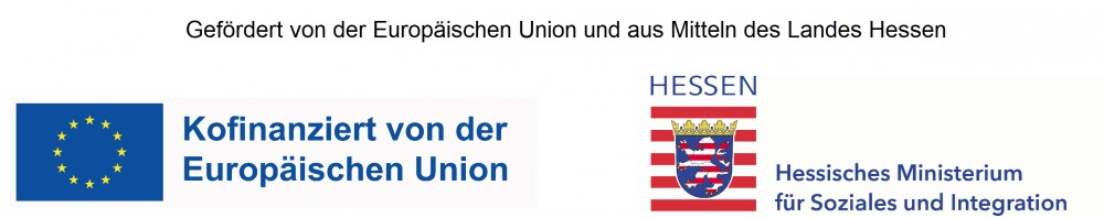 logo eu hmsi data2