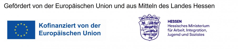 logo eu hmsi data33