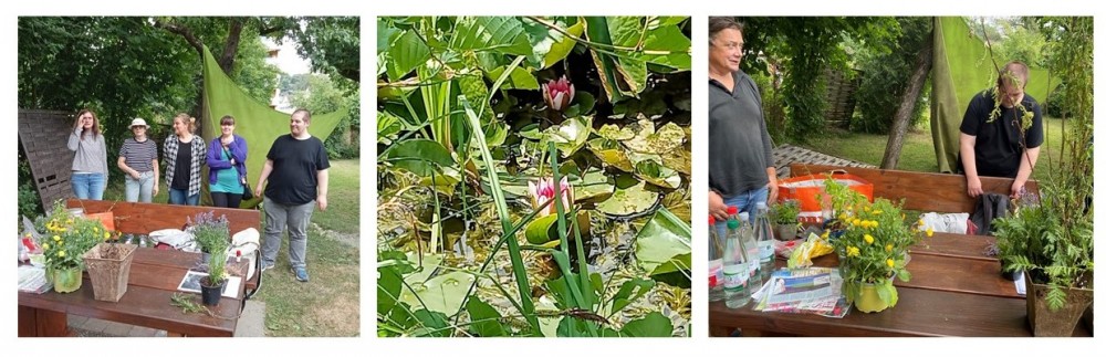 Collage Garten2