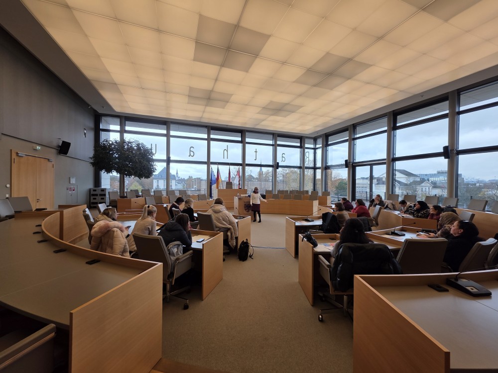 FRIDA Stadtparlament