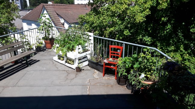 Pflanzenvielfalt im Terrassengarten der Massnahme Basistraining Junior