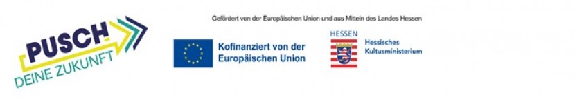 pusch banner
