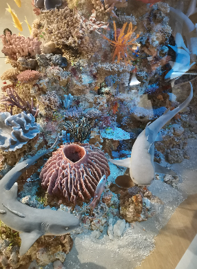 fische