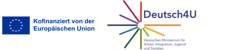 logo d4u3