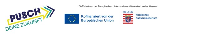pusch banner