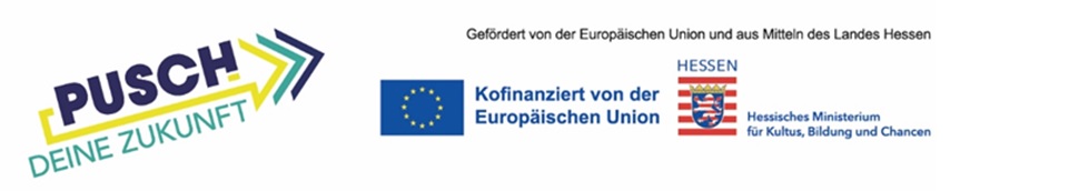 pusch logo10