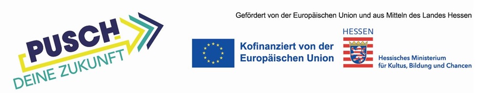 pusch logo9