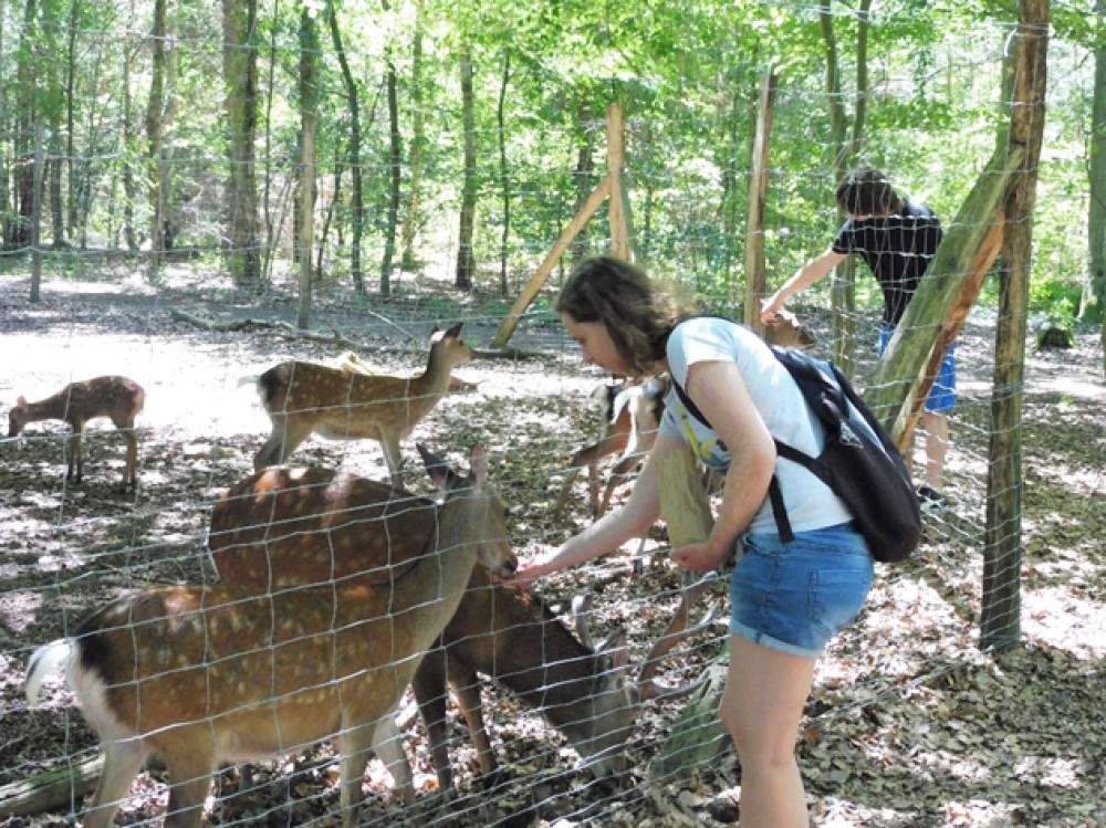 Wildpark modul