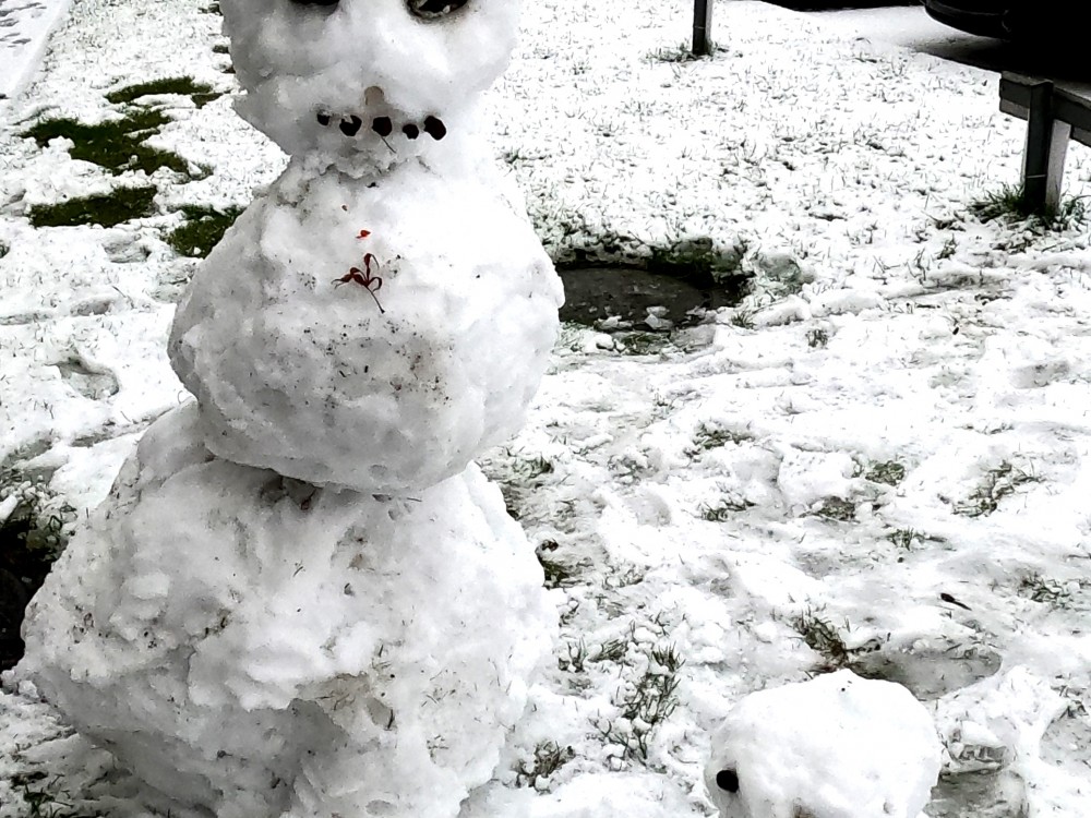 Schneemann Bild