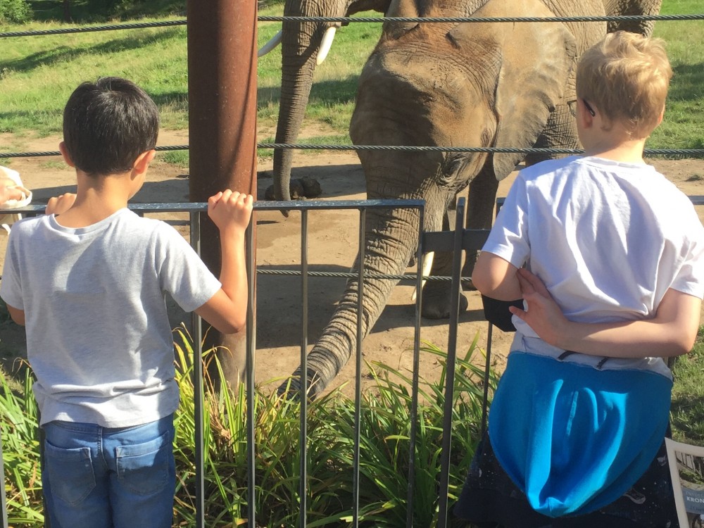 Zoo2