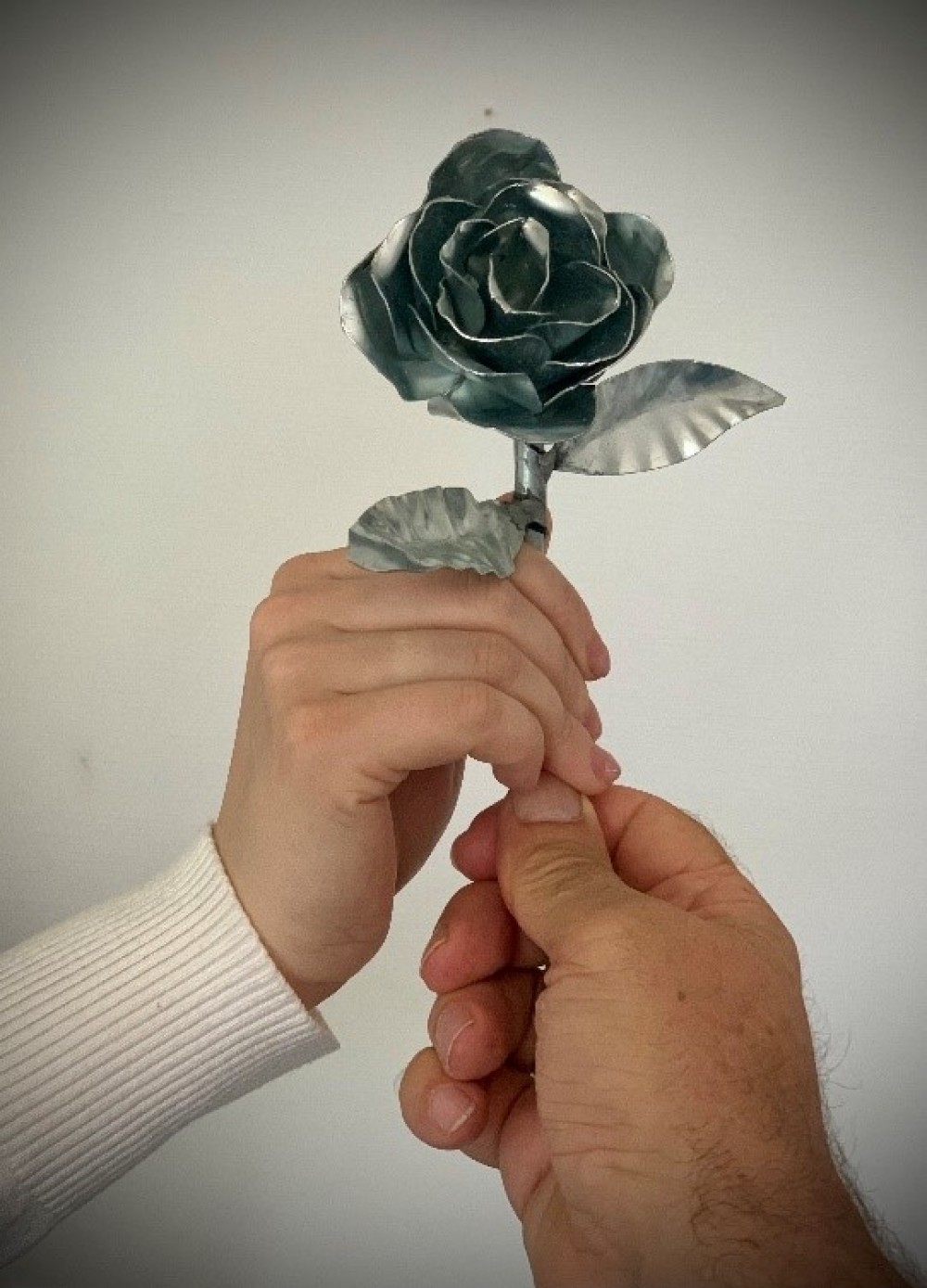 Rose2
