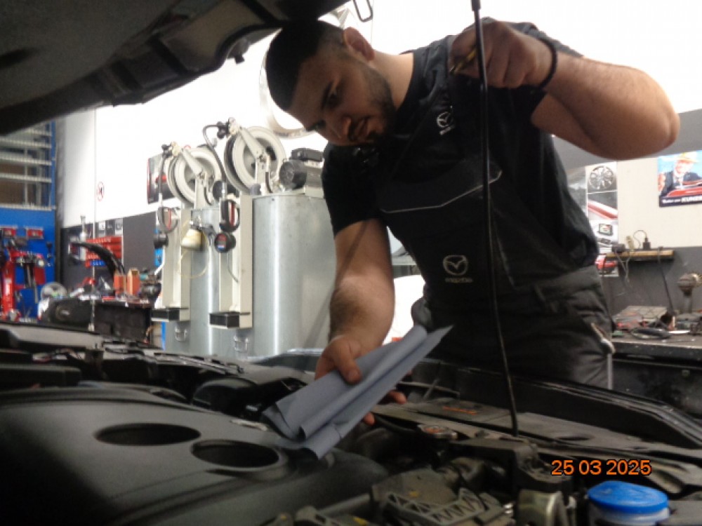 Auf der Arbeit Paunovic