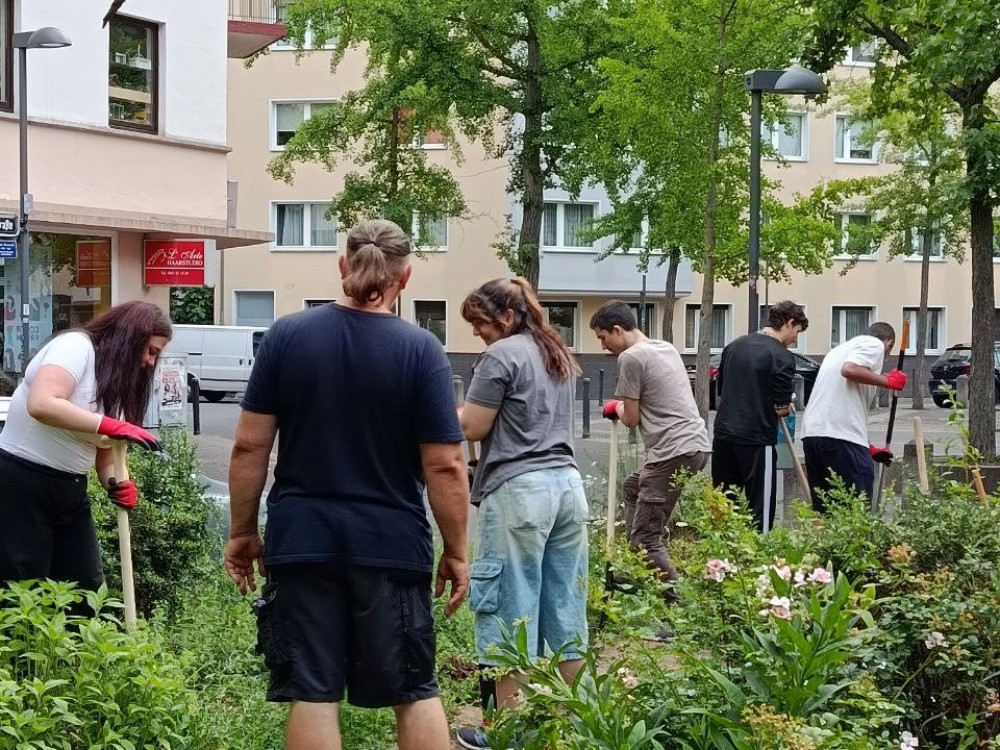 Bepflanzung 1