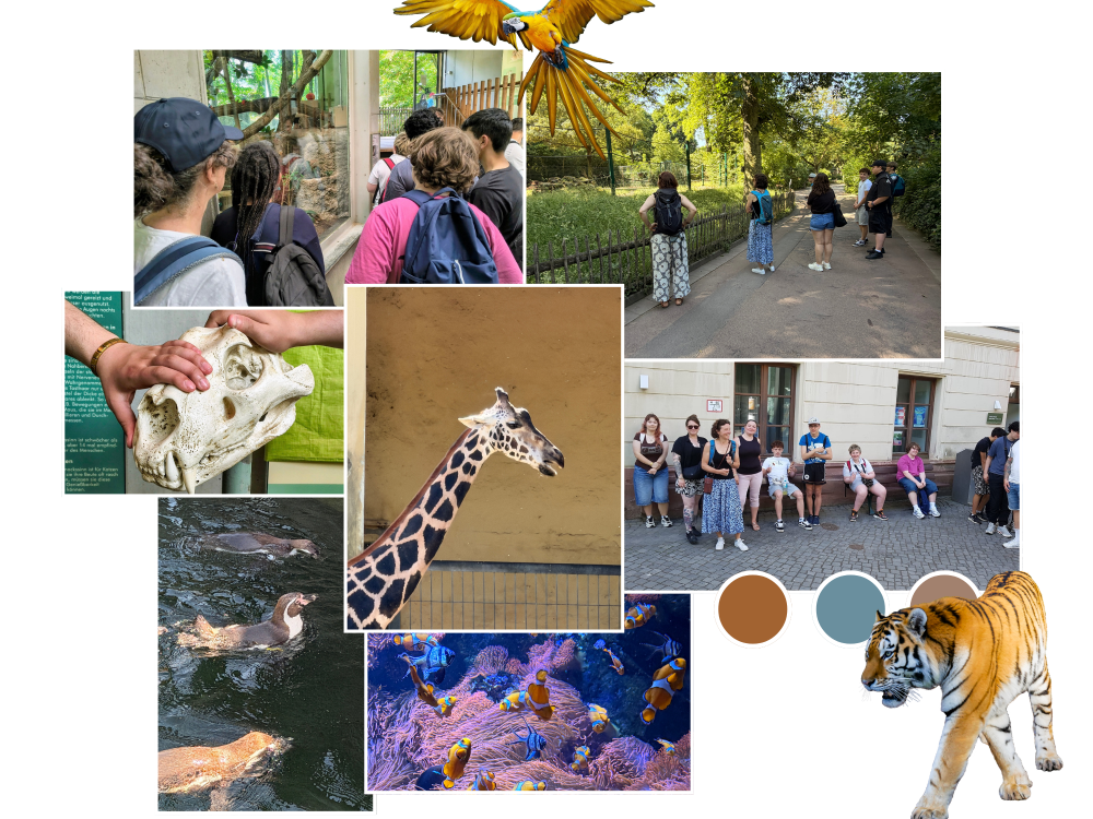 Zoo