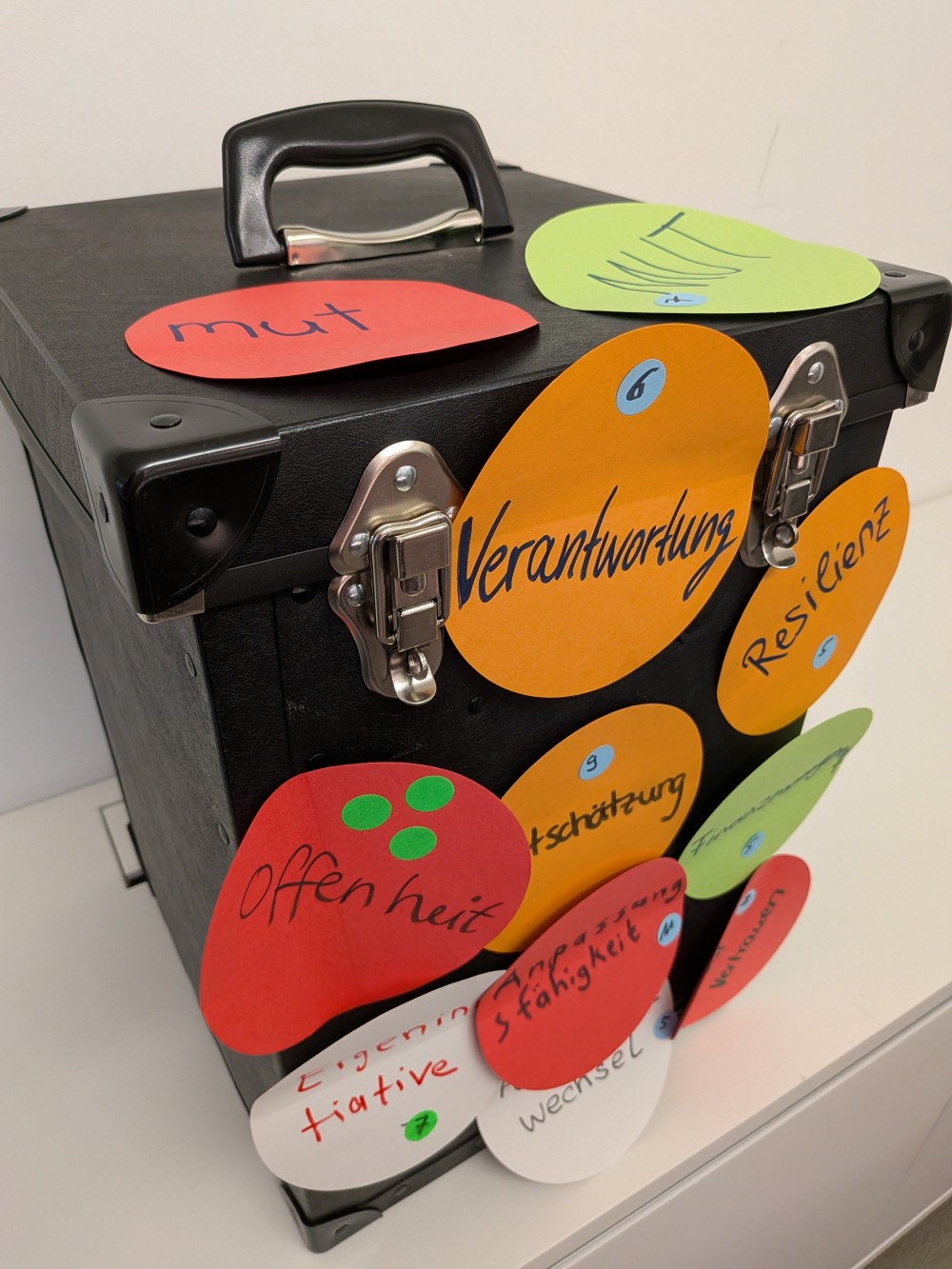 PXL 20251113 153810190