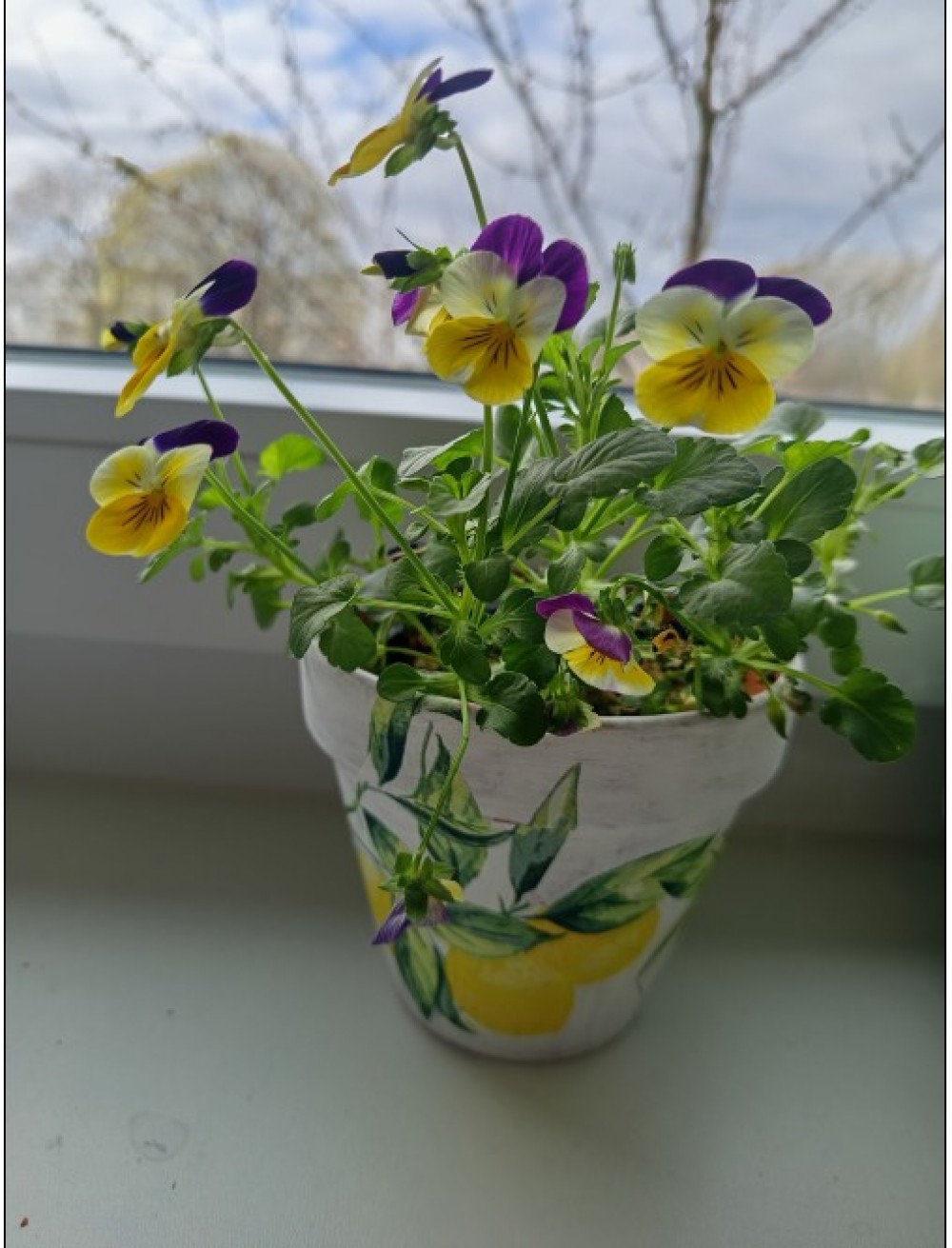 Screenshot 2026 03 30 142130