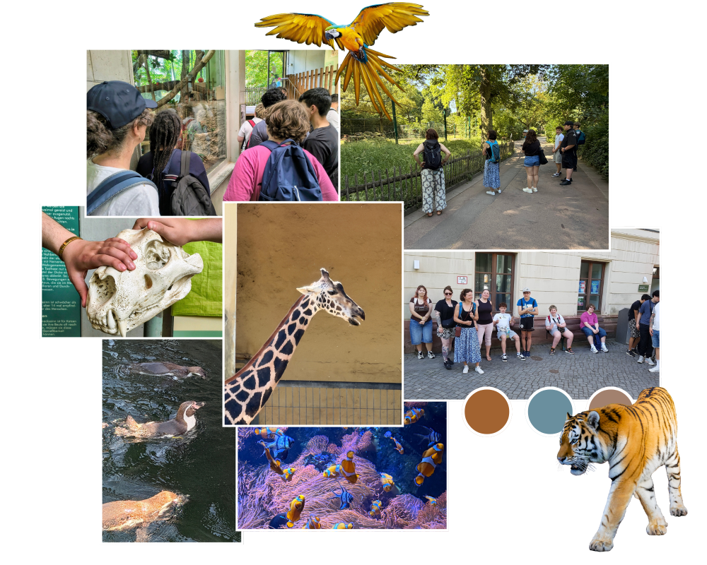 Zoo