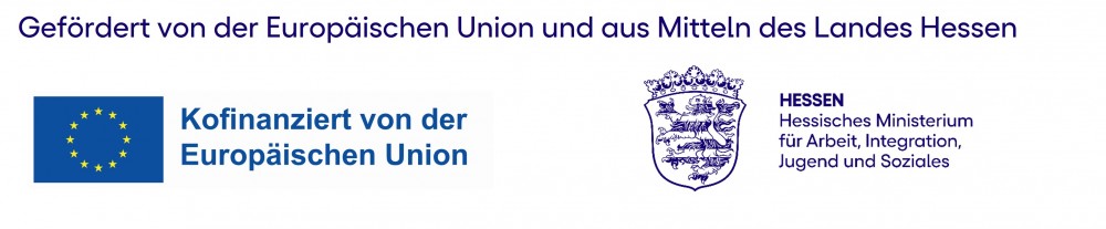 logo eu hmsi data5