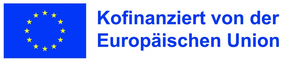 DE Kofinanziert von der Europaeischen Union POS